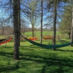 © A l'Orée du Parc - Espaignet Nathalie