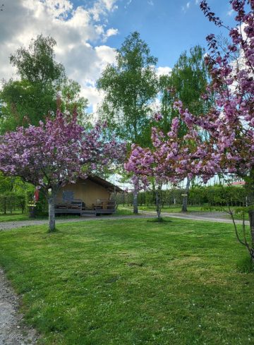 © Restaurant du Camping du Viaduc des Fades - sas camping