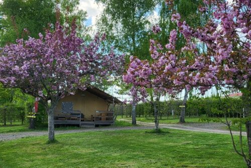 Restaurant du Camping du Viaduc des Fades