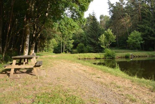 Picnic area - Etang des Piscines