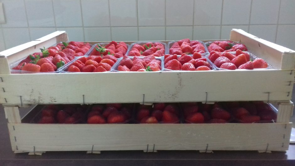 © The Jams of Mary - Les confitures de Marie