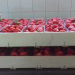 © The Jams of Mary - Les confitures de Marie