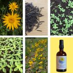 © Farm The sun of the little blue - Ferme Le soleil des P'tits bleus