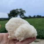 © The gourmet barn - La grange gourmande