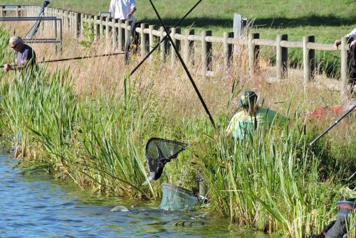 Fishing site - Étang Philippe