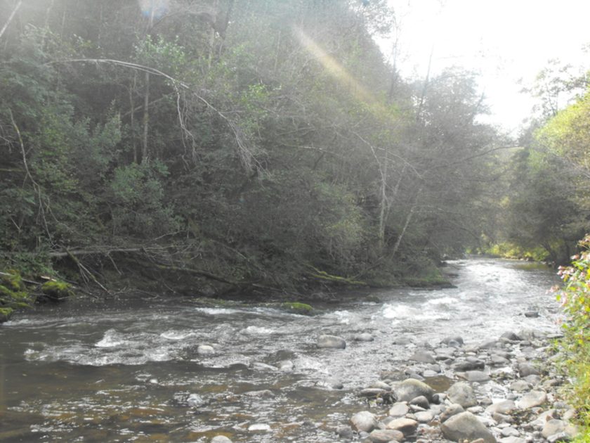 © Fishing site - Rivière La Dordogne - Mairie de Messeix