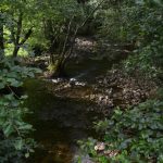 © Fishing site - Rivière La Clidane - OT Combrailles