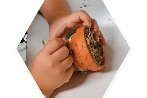 Workshop "Making an insect nesting box"