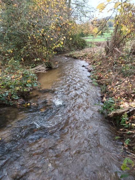 © Fishing site - Rivière La Bouble_Saint-Éloy-les-Mines - AAPPMA les gaules reunies Bouble et Sioule