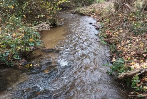 Fishing site - Rivière La Bouble