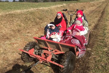 © Sled dogs and discovery tours - Taïga Aventure - Avice