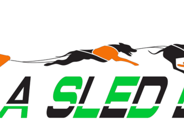 © Dogsled ride - Enola Sled Dogs - Faucher Juliette