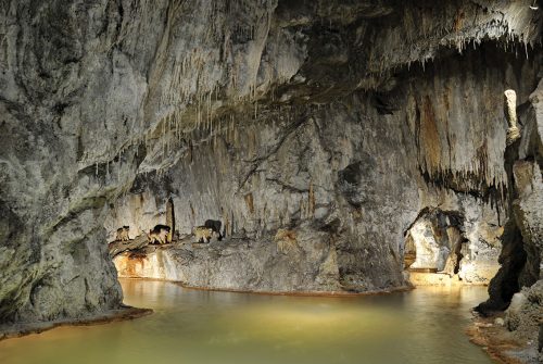 The Petrifying Fountains of Saint-Nectaire