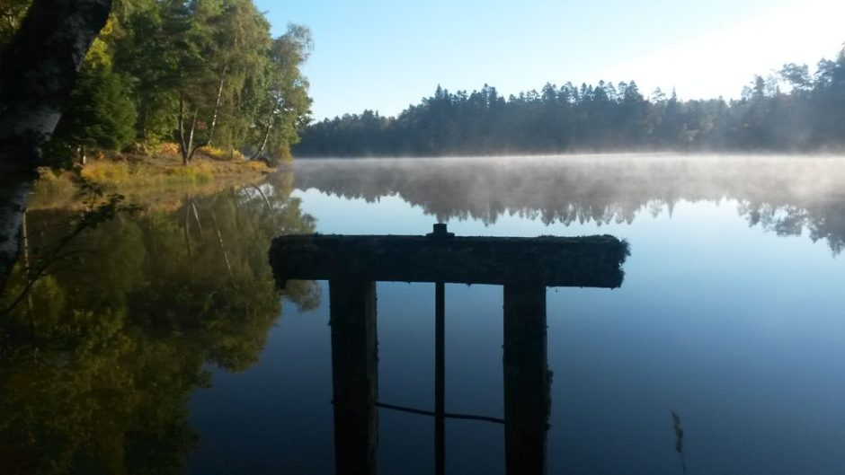 © Fishing site - Étang de Fayat - AAPPMA La Clermontoise