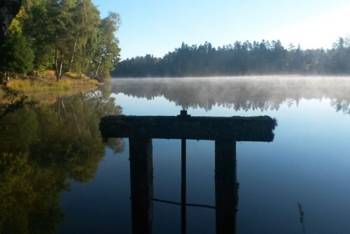 Fishing site - Étang de Fayat