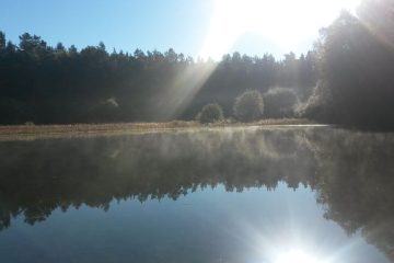 © Fishing site - Étang de Fayat - AAPPMA La Clermontoise