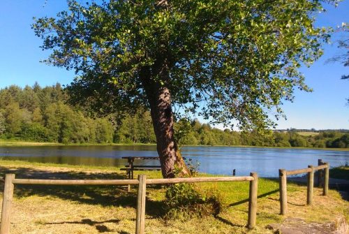 Fishing site - Étang Willy Mabrut