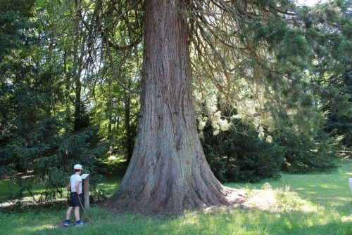 Arboretum of the Thermal Park