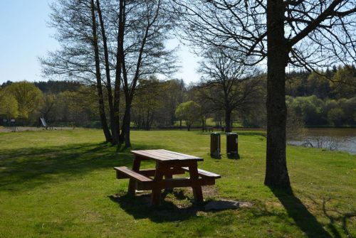 Picnic area - Etang Magaud