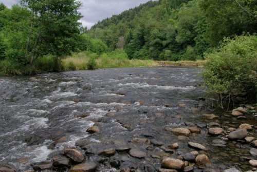 Fishing site - Rivière La Dordogne