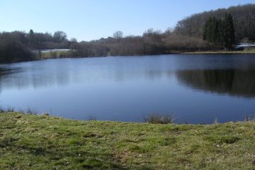 © Fishing site - Étang des Marsins - Étang des Marsins