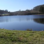 © Fishing site - Étang des Marsins - Étang des Marsins