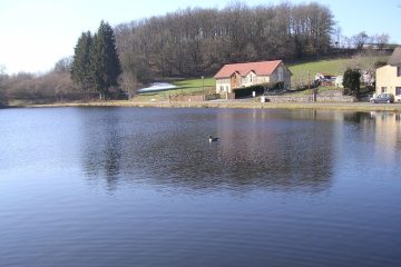 © Fishing site - Étang des Marsins - Étang des Marsins