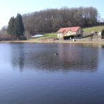 © Fishing site - Étang des Marsins - Étang des Marsins