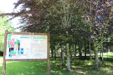 © Arboretum of the Wood des Brosses - OT Combrailles