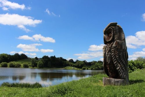 Land Art Etang des Planches