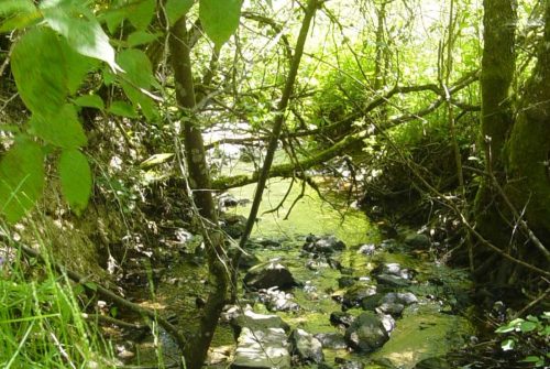 Fishing site - Rivière Le Chavanon